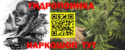 spice Кандалакша