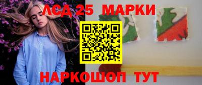 spice Кандалакша