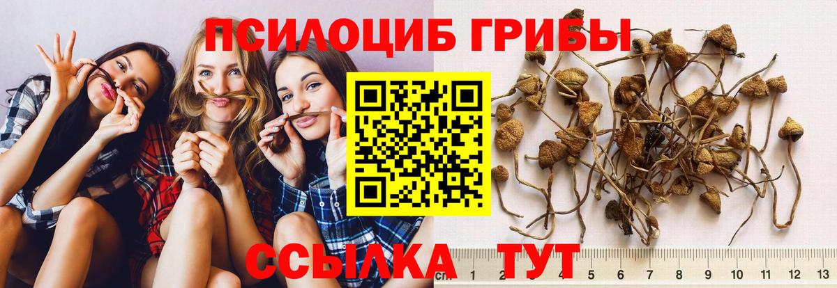 Нижнеудинск  MDMA  КОКАИН  LSD-25  Вход с VPN  Каннабис  Гашиш  Меф МЯУ МЯУ  