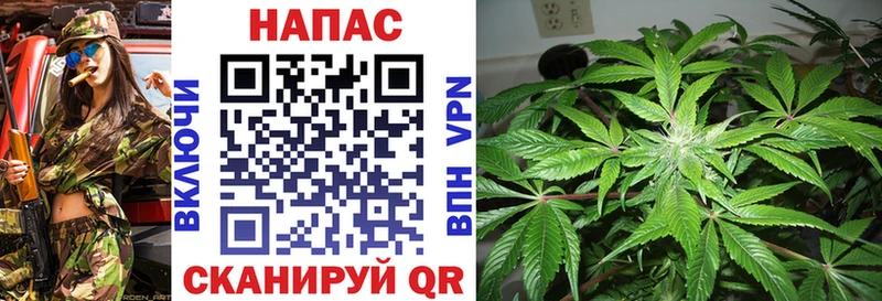 Бошки марихуана SATIVA & INDICA  Нижнеудинск 